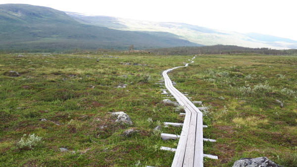 Holzbohlenweg