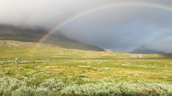 Regenbogen