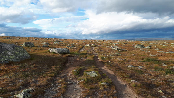 steiniges Fjäll