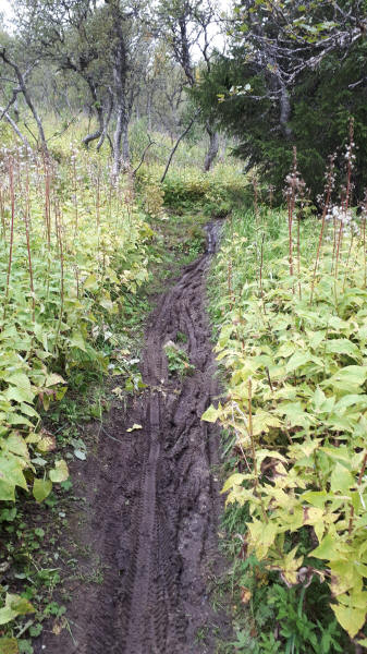 Mountainbikeweg