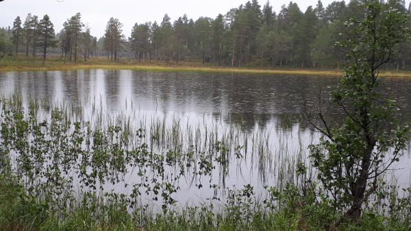 Nieselregen