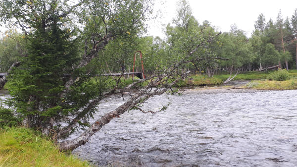 Brücke