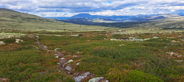 Rocks on trail