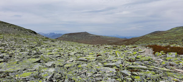 Rocks