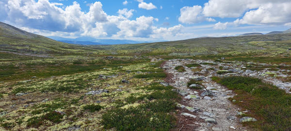 rocky trail