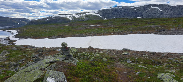 Snow field