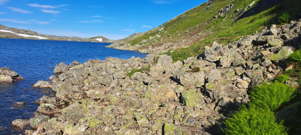 Övre Ardalsvatnet