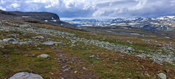 Kyrkjedørsnuten