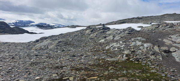 snow fields