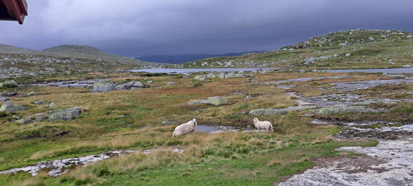 dark clouds