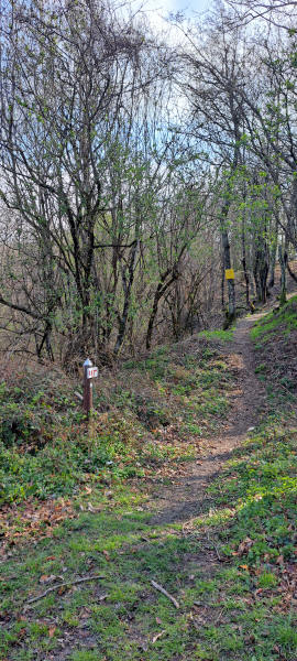 Passo la Colla