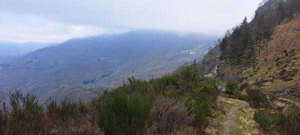 passo de Forcella