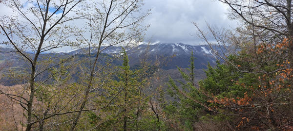 snowline