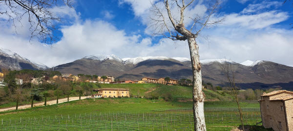 snowcapped mountains