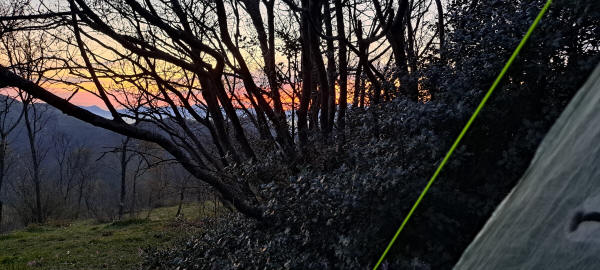 morning tent view