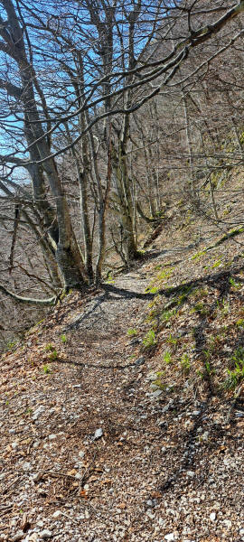 steep cliff site