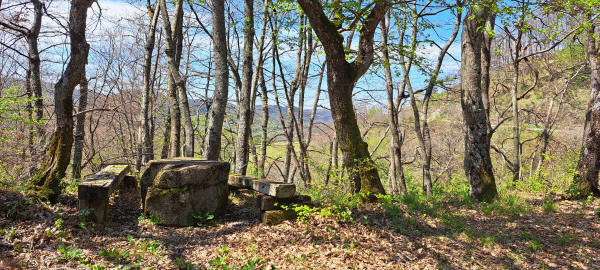 rock picnic table