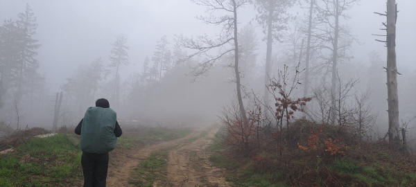 In the clouds
