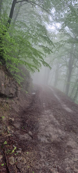 cloudy road