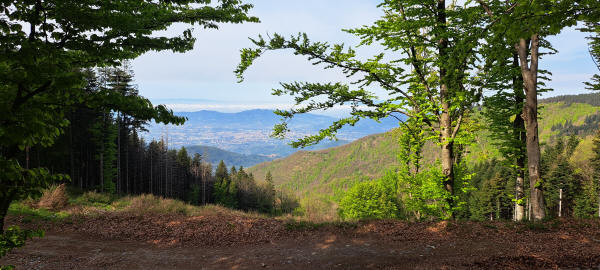 view