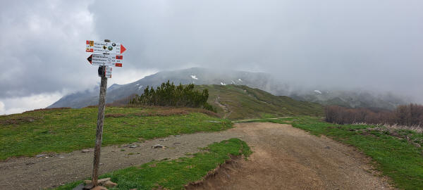 trail signs