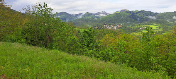 Bosco di Corniglio