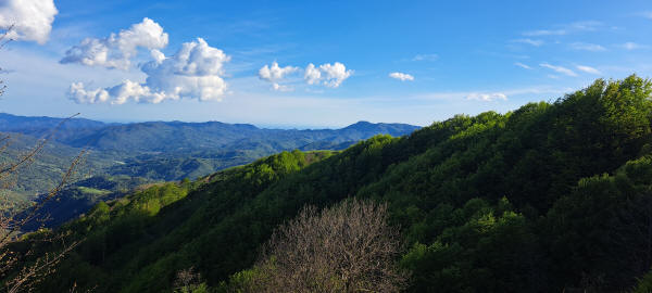 Passo Chiapparino