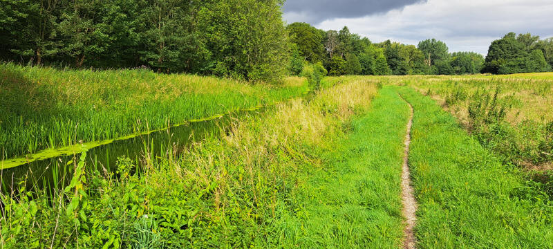 trail follows creek