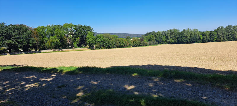 harvested field