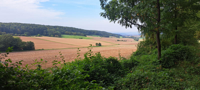 more plowed fields