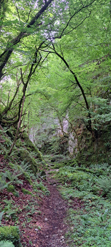 Tal Harpideko erreka