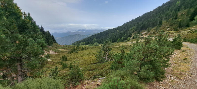 Tal Correc del Salze