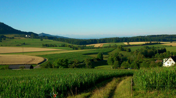 Alpenblick