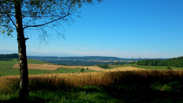 Alpenblick