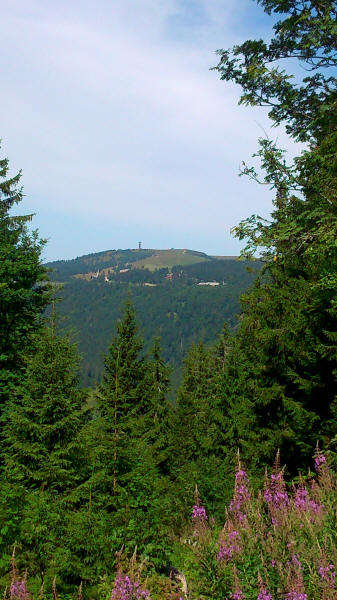 Feldberg