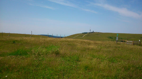 Feldberg