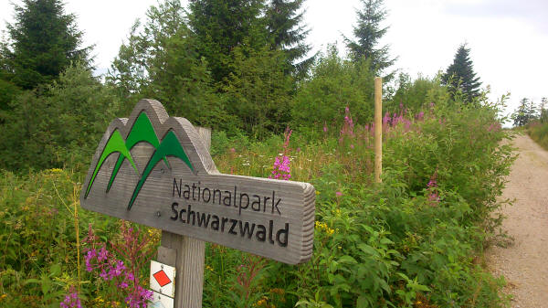 Nationalpark Schwarzwald