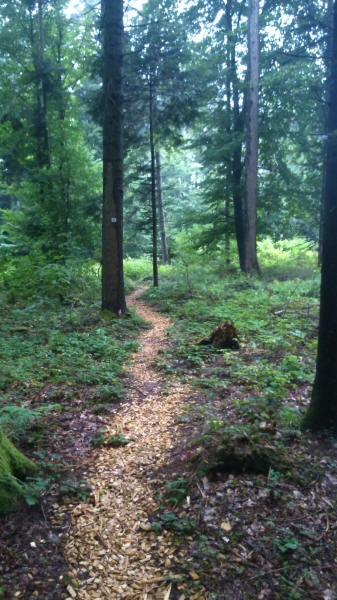 Neuer Weg