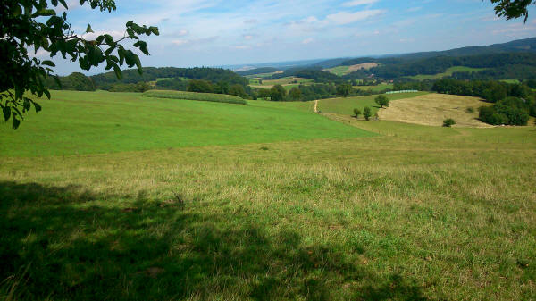 Blick Richtung Frankfurt