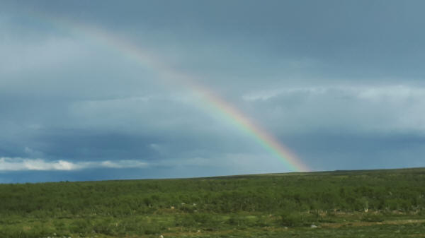 Regenbogen