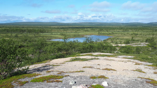 Landschaft