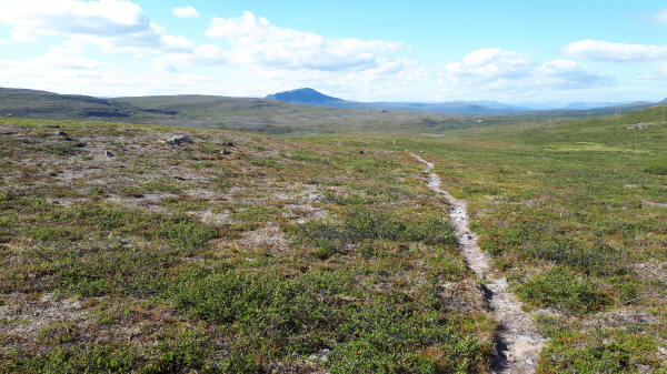 Weg auf Fjell