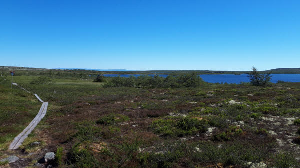 Storrörsjön