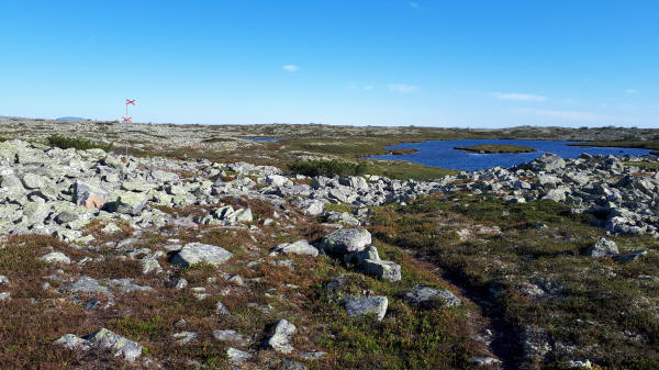 Im Drevfjället