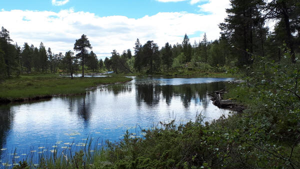 Auslauf Stor-Tandsjön