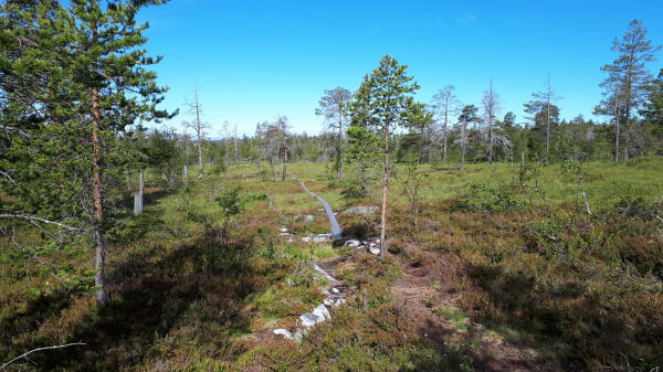 Holzbohlenweg