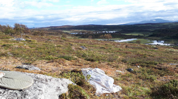 Blick im Rödfjället