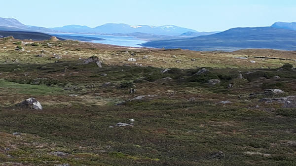 am Kungsleden