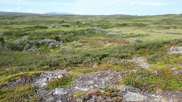 Blick übers Fjell