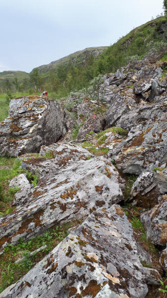 E1 auf Felsen